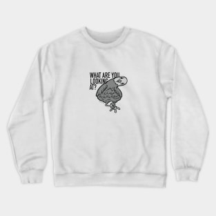 what are you looking at? Pigeon Crewneck Sweatshirt